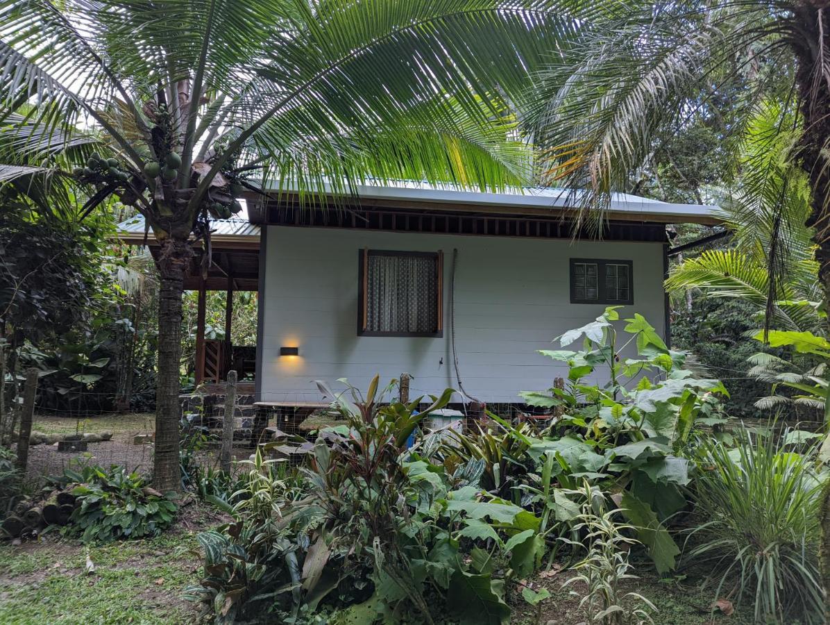 Casita Bribri at Margarita Hills Villa Cocles Bagian luar foto